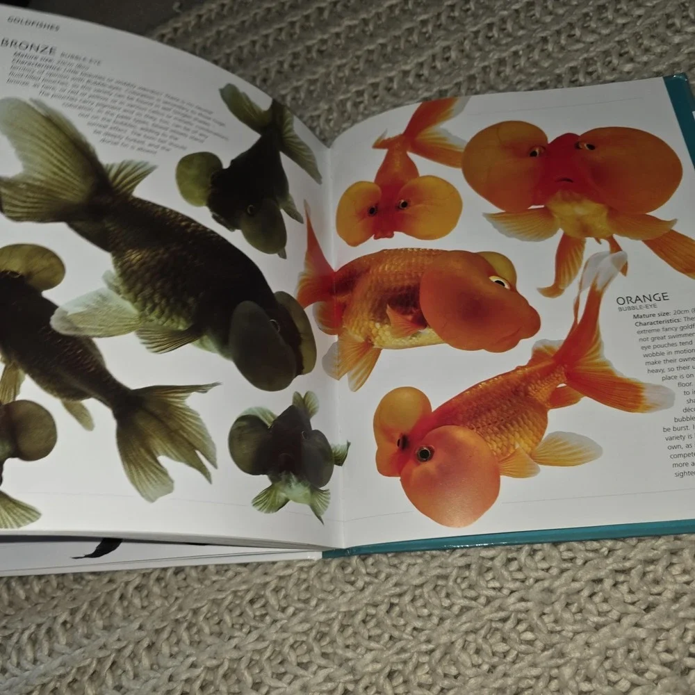 N/A ultimate aquarium